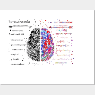 Left and right brain function Posters and Art